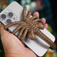 🔥Hot Promotion 49% OFF🤩Horrible Facehugger Phone Holder