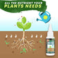 🔥Buy 2 Get 1 Free（3PCS）🔥Plant Nutrient Solution