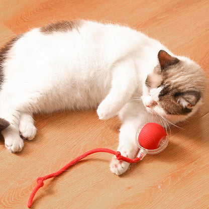 🐱Hot Sale 49% OFF🐶Smart Automatic Rolling Pet Ball