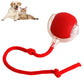 🐱Hot Sale 49% OFF🐶Smart Automatic Rolling Pet Ball