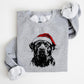 🎁Christmas Sale 49%🎄🎅Santa Paws Christmas Dog Sweatshirt🐶