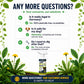 ❤️‍🔥Hot Sale 70% OFF⚡[Easy and stress-free weeding in the garden] Herbicide for domestic use