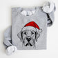 🎁Christmas Sale 49%🎄🎅Santa Paws Christmas Dog Sweatshirt🐶