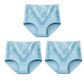 ✨Buy 1 Get 2 Free(3pcs)🔥High Waist Tummy Control Leak proof Panties