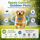 ⏰LIMITED TIME PRICE: ONLY ￡6.99!!!🔥Natural Flea and Tick Collar for Dogs and Cats🌟 –The UK’s #1 Vet-Approved, Chemical-Free Shield for Dogs & Cats!🐾 Finally—Safe & Strong Protection! 🌿🇬🇧