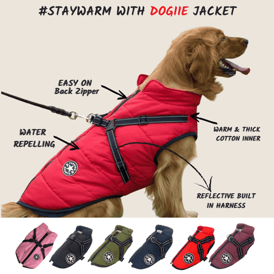 🐶Hot Sale -50% OFF🔥3 in 1 Winter Waterproof Warm Dog Jacket With Built-in Harness