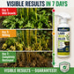 ❤️‍🔥Hot Sale 70% OFF⚡[Easy and stress-free weeding in the garden] Herbicide for domestic use