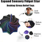 🎁Christmas Sale 49% OFF🎅🎄3D Printed Expanded Sensory Fidget Star