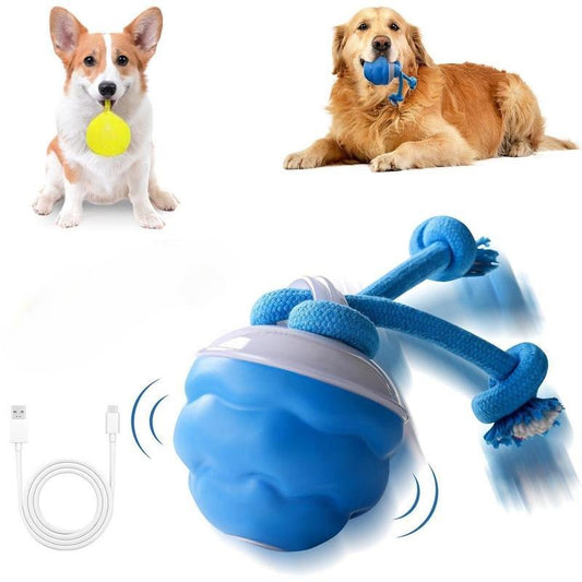 🐾LAST DAY SALE 49% OFF🐶Intelligent Interactive Smart Dog Toy Ball