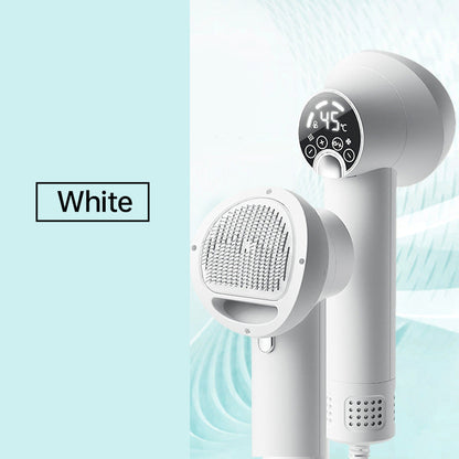 🎁HOT SALE 49% OFF🔥Low Noise Pet Hair Dryer with Slicker Brush