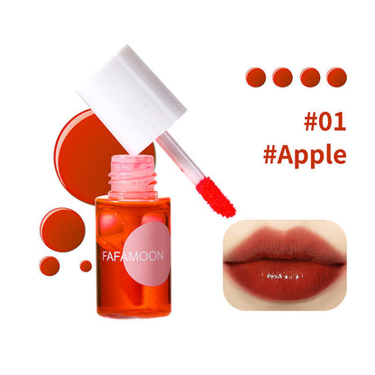 4 Colors Moisturizing Long-Lasting Lip Gloss