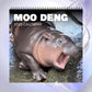 🎁Christmas Gifts 49% OFF🦛Moo Deng Calendar | 2025 Calendar