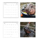 🎁Christmas Gifts 49% OFF🦛Moo Deng Calendar | 2025 Calendar