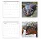 🎁Christmas Gifts 49% OFF🦛Moo Deng Calendar | 2025 Calendar