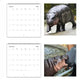 🎁Christmas Gifts 49% OFF🦛Moo Deng Calendar | 2025 Calendar