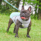 🐶Last Day Sale 49% OFF❄️🐾 Dog Summer Ice Cooling Protective Vest