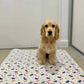 🐶😸Hot Sale-49% OFF🔥Premium Reusable Super Absorbent PuppyPad🐾 (Kitten & Other Pets)