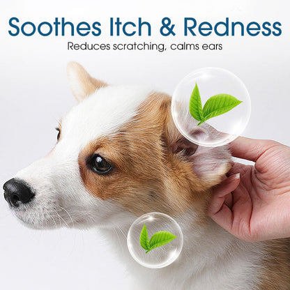 🐶Hot Sale 70% OFF🐱Ear cleaner, Relieves itching in dogs & cats
