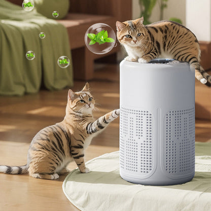 🌬️Hot Sale 55% OFF!🔥Compact home air purifier – 2026 bestseller – Quiet, energy-efficient, and perfect for allergy sufferers, dust, and pet hair 🏠