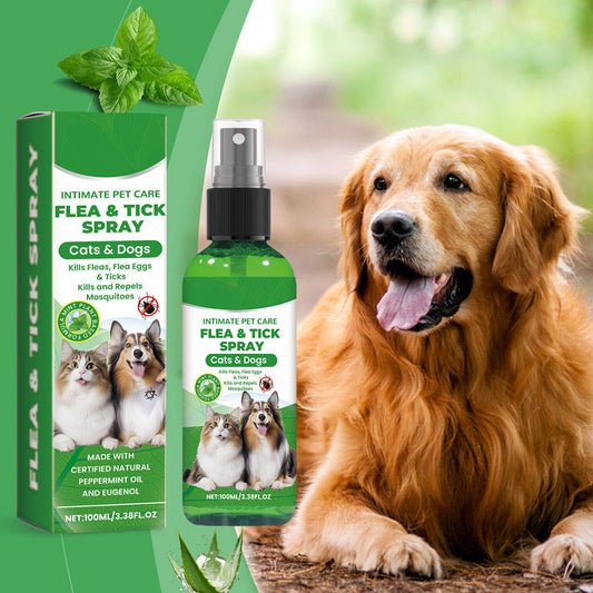 ⏳Limited-Time Offer: Buy 2 Get 1 FREE!✨️🌿The #1 Plant-Based Flea & Tick Spray in the UK 🇬🇧🏆