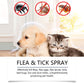 ⏳Limited-Time Offer: Buy 2 Get 1 FREE!✨️🌿The #1 Plant-Based Flea & Tick Spray in the UK 🇬🇧🏆