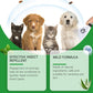 ⏳Limited-Time Offer: Buy 2 Get 1 FREE!✨️🌿The #1 Plant-Based Flea & Tick Spray in the UK 🇬🇧🏆