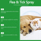 ⏳Limited-Time Offer: Buy 2 Get 1 FREE!✨️🌿The #1 Plant-Based Flea & Tick Spray in the UK 🇬🇧🏆