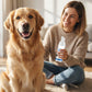 🥳2026 HOT SALE 70% OFF!💞50K+ SOLD!🐶Pet Oral Care Foaming Tartar Remover
