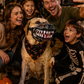🎃50% OFF NOW ! 🐶Halloween Realistic Spoof Pet Muzzle – Scary Bloody Fangs Dog Costume Muzzle, Adjustable Funny Cosplay Accessory for Halloween Party