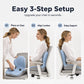 🪑2026 Hot Sale 70% OFF!✨Ergonomic Memory Foam Seat Cushion with Back Support – Stay Comfortable All Day, Perfect for Office, Car & Home ✨